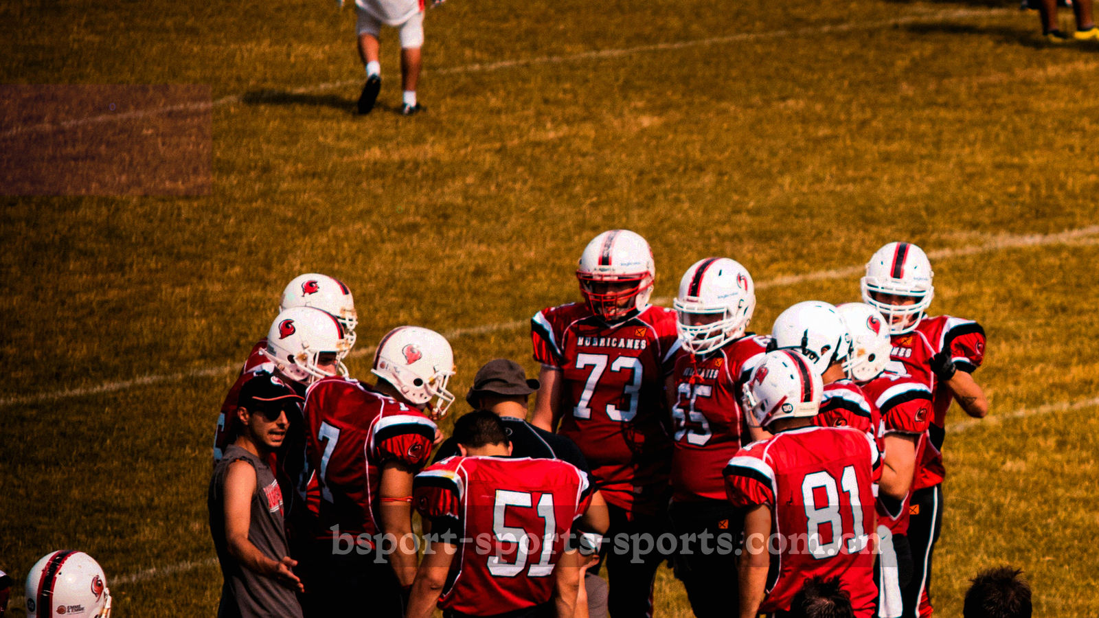 夜间球场俯拍全景，草坪纹理与看台灯光，画面不含人物特写